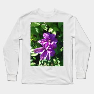 Purple clematis photograph Long Sleeve T-Shirt